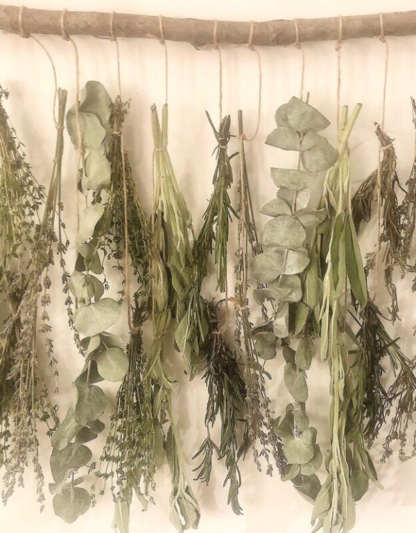 hanging lavender and herbs from a wooden branch