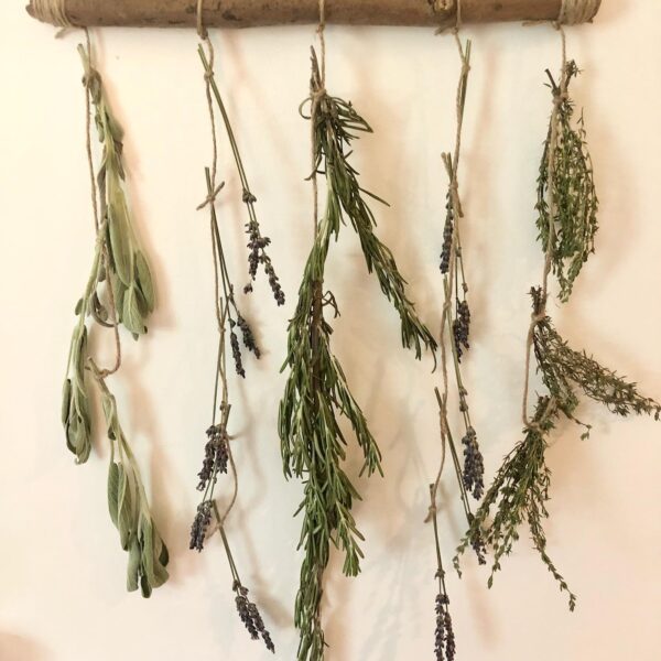 dried lavender and herbs hanging on jute twine from a rustic wood branch, size small, 5 strings