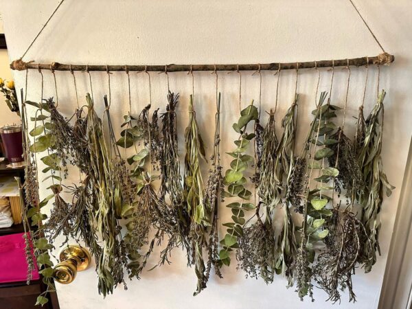 lavender and herbs dried and hanging from a wood branch on a door