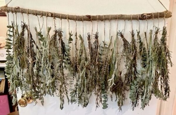 dried lavender and herbs hanging on jute twine from a wood branch