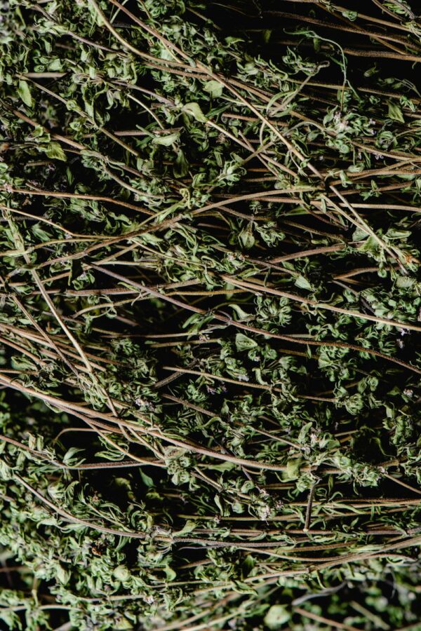 a close up of dried thyme herbs
