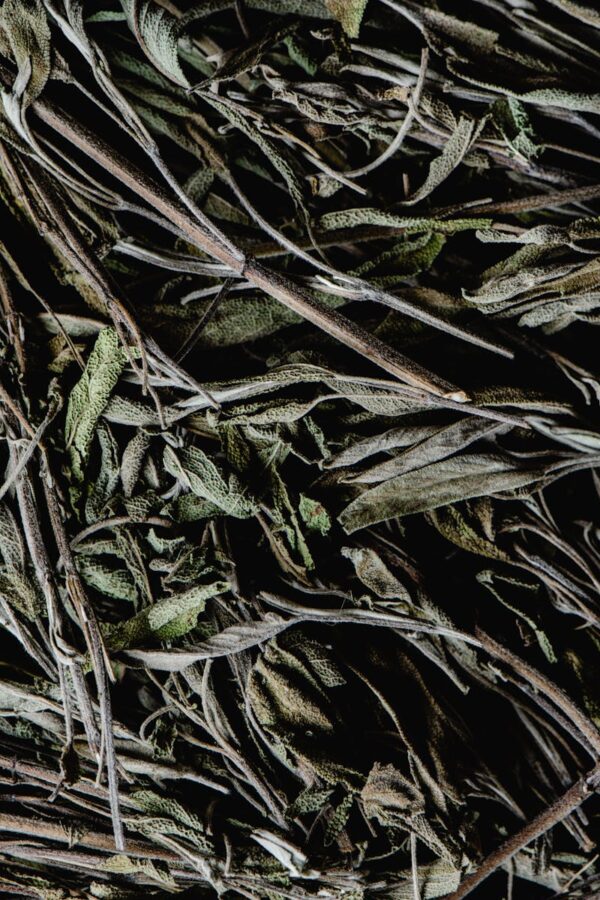 a close up of dried sage herbs