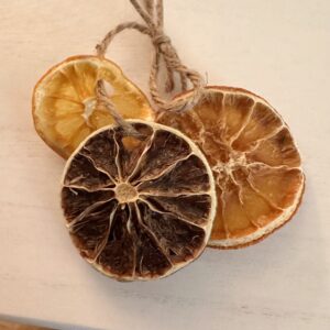 dried citrus fruit ring