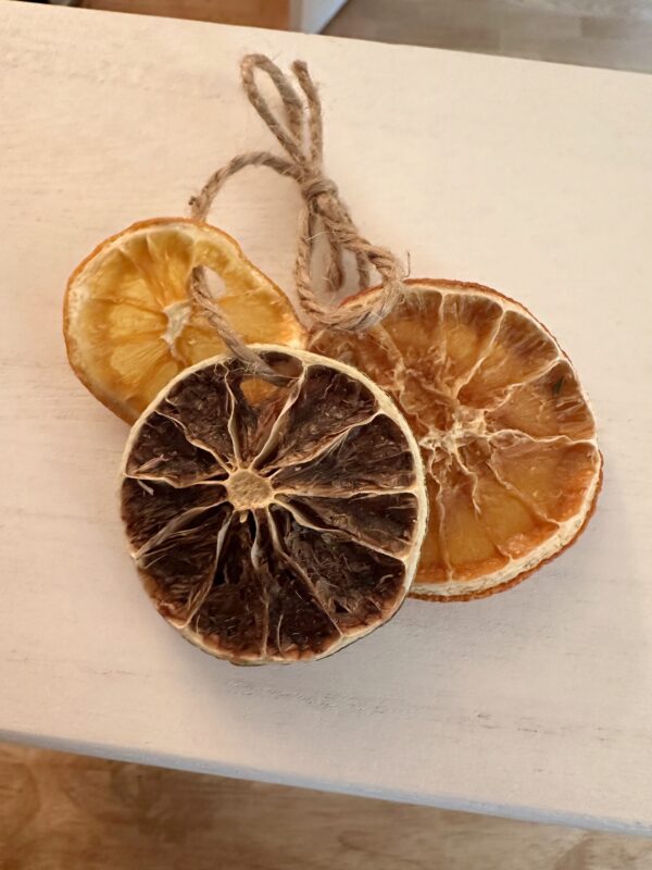 dried citrus fruit ring