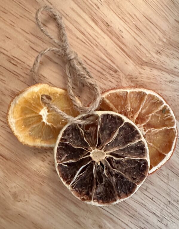 dried citrus fruit ring