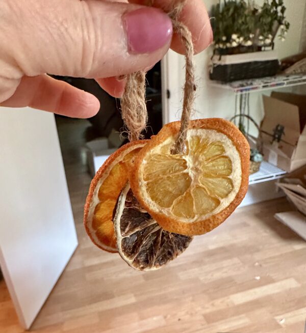dried citrus fruit ring