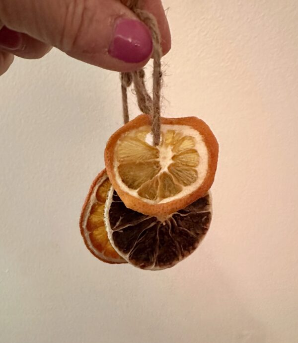 dried citrus fruit ring
