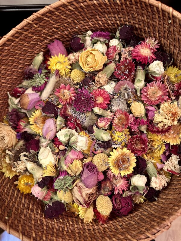 assorted dried flower heads