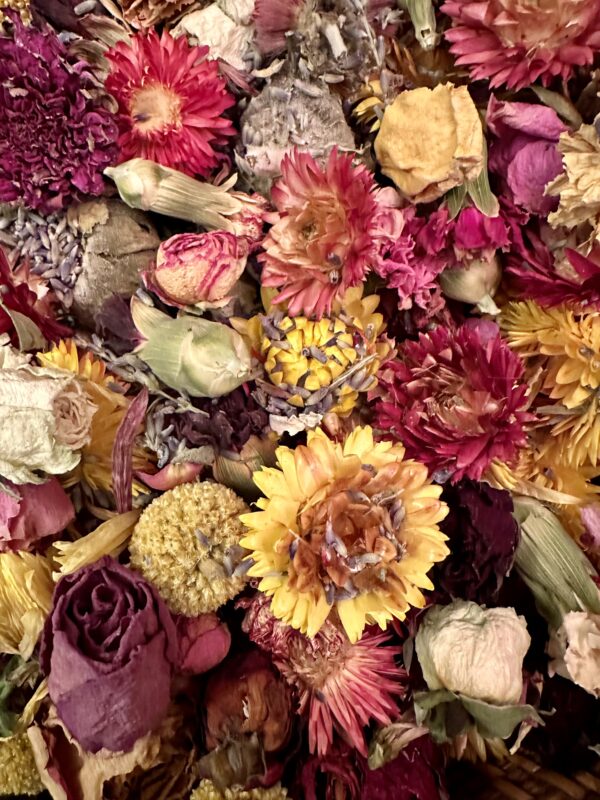 assorted dried flower heads
